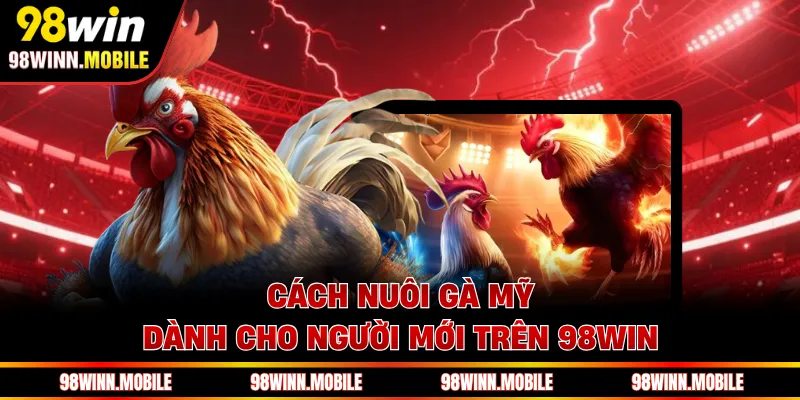 Cách nuôi gà Mỹ dành cho người mới trên 98WIN