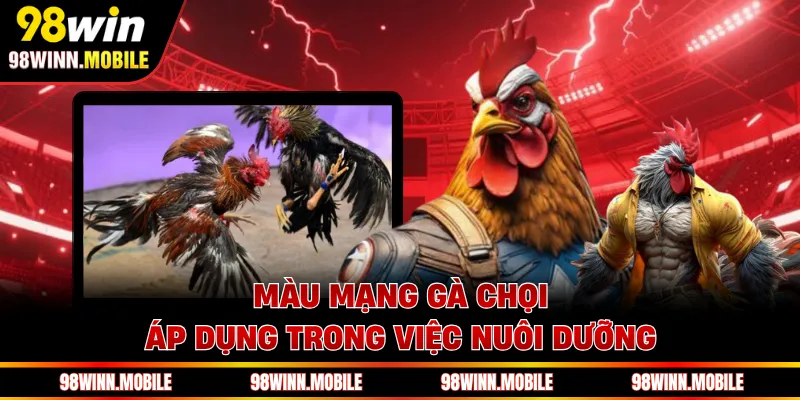 Màu mạng gà chọi áp dụng trong việc nuôi dưỡng