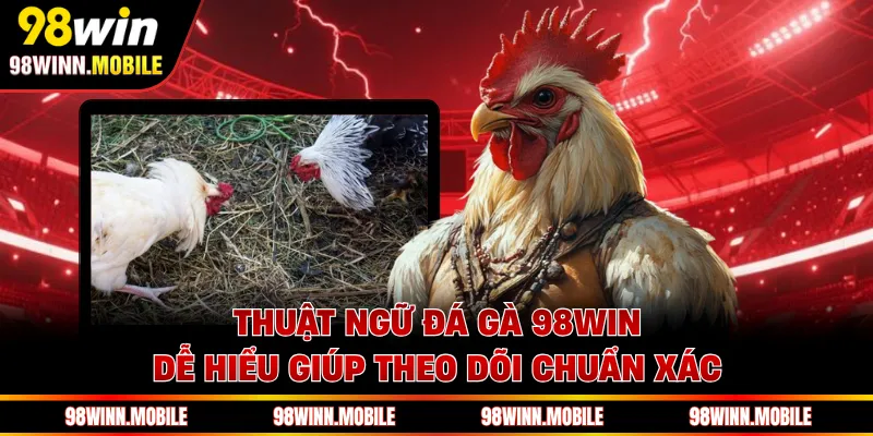 Thuật Ngữ Đá Gà 98WIN Dễ Hiểu Giúp Theo Dõi Chuẩn Xác