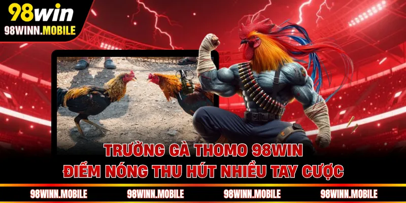 Trường Gà Thomo 98WIN - Điểm Nóng Thu Hút Nhiều Tay Cược